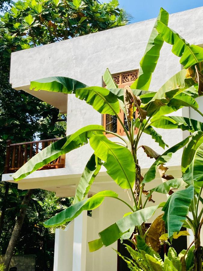 Manel Villa ベントータ エクステリア 写真