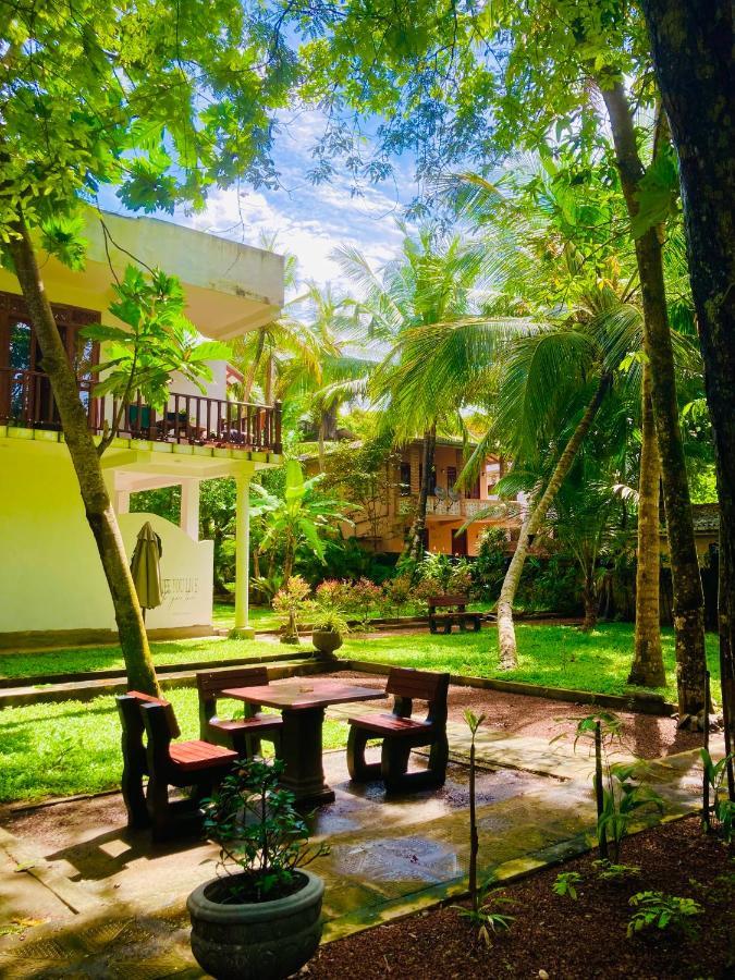Manel Villa ベントータ エクステリア 写真