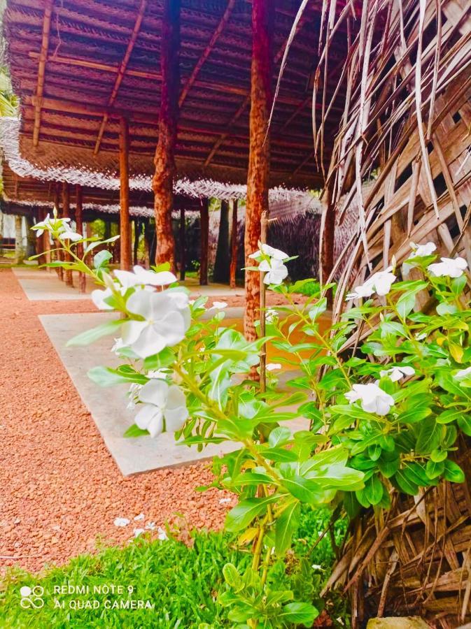 Manel Villa ベントータ エクステリア 写真