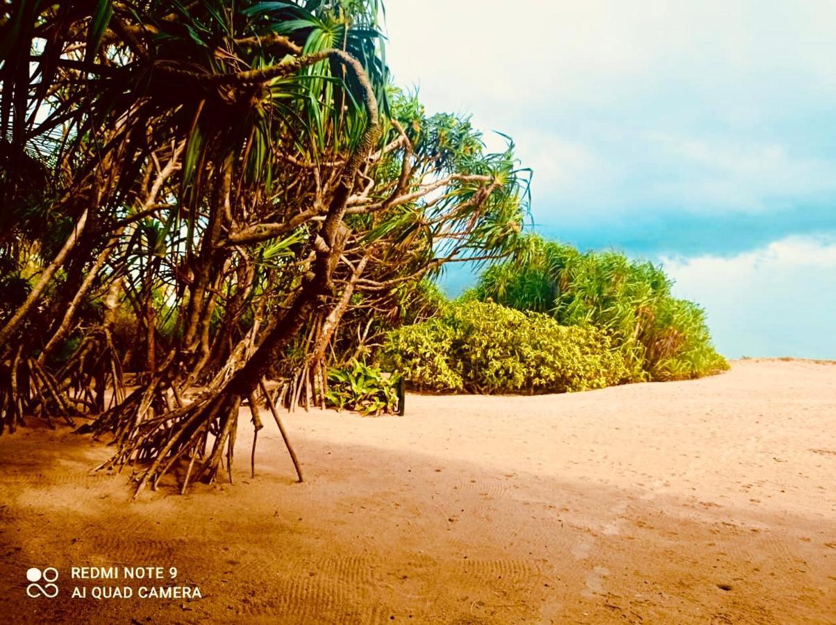 Manel Villa ベントータ エクステリア 写真