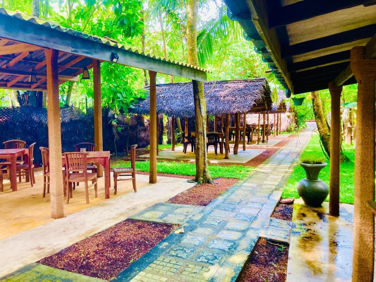 Manel Villa ベントータ エクステリア 写真