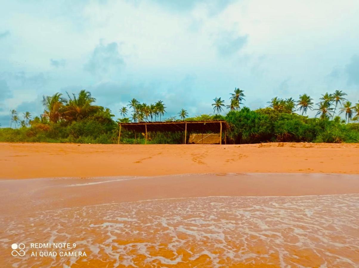 Manel Villa ベントータ エクステリア 写真